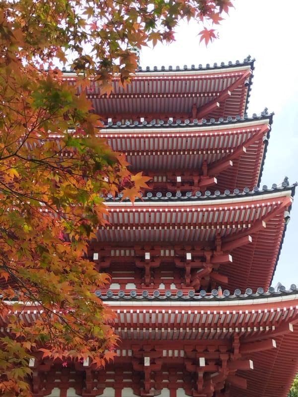 高知を満喫する一日旅 ～ MY游バスでラクラク移動 ～